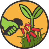 Erbicide